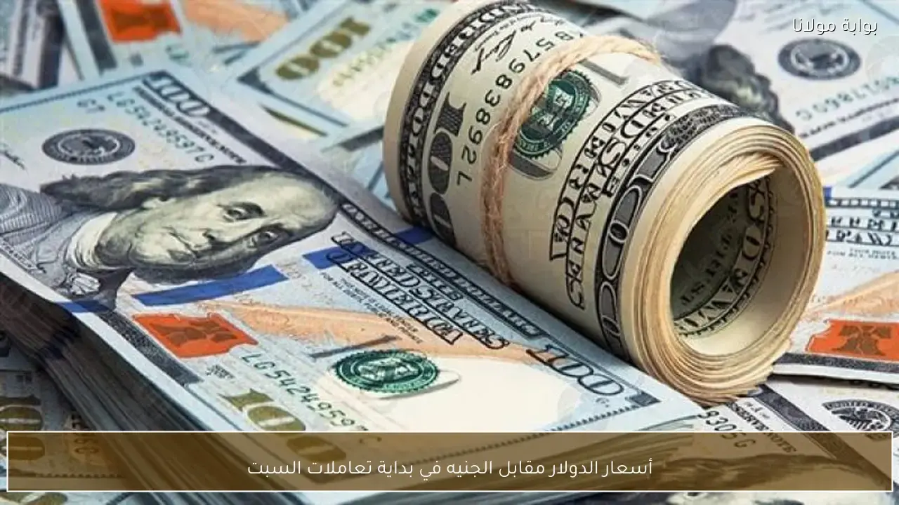 تقلبات أسعار الدولار مقابل الجنيه المصري في مطلع تعاملات يوم السبت الجديد